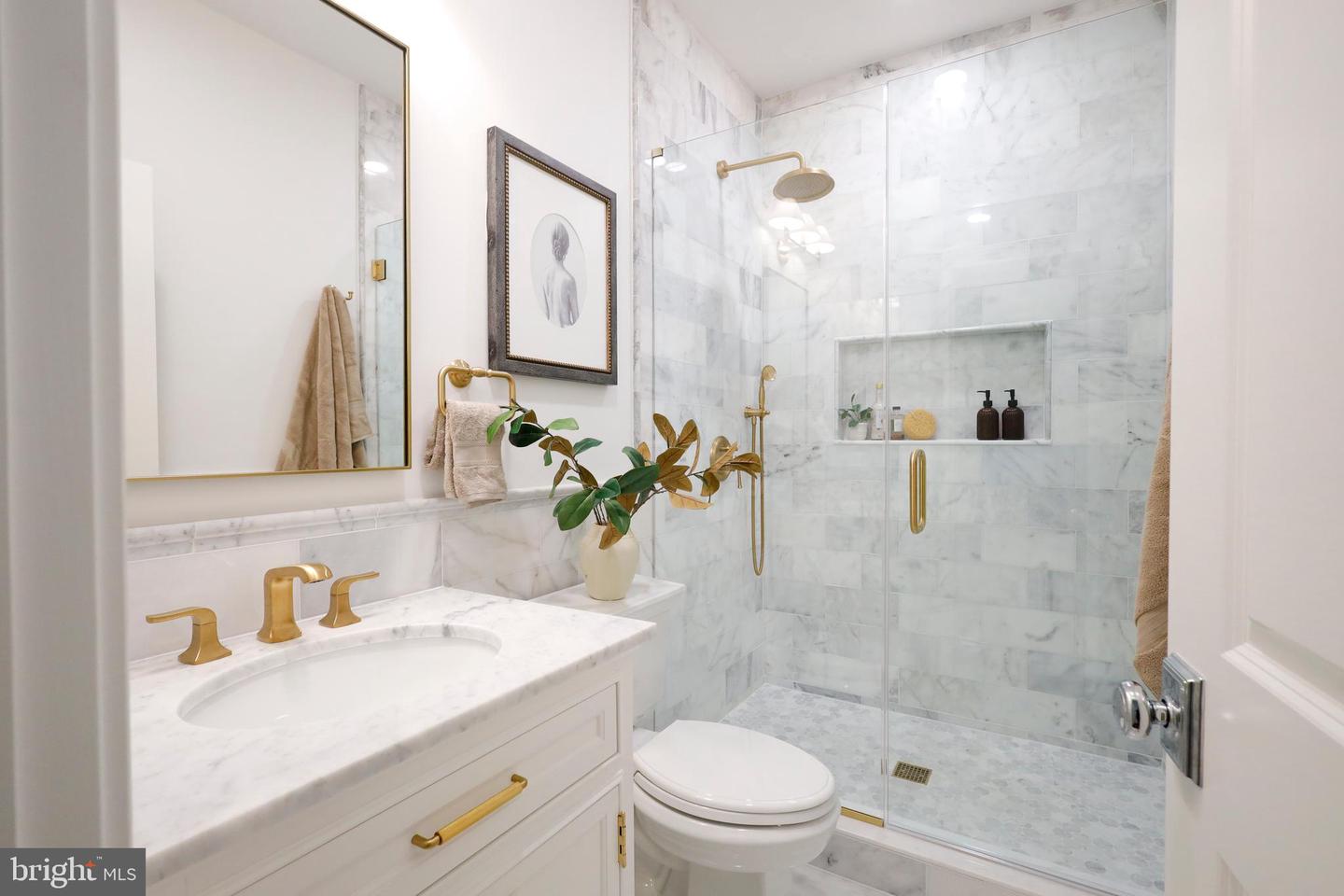 1739 LANIER PL NW, WASHINGTON, District Of Columbia 20009, 4 Bedrooms Bedrooms, ,3 BathroomsBathrooms,Residential,For sale,1739 LANIER PL NW,DCDC2204664 MLS # DCDC2204664
