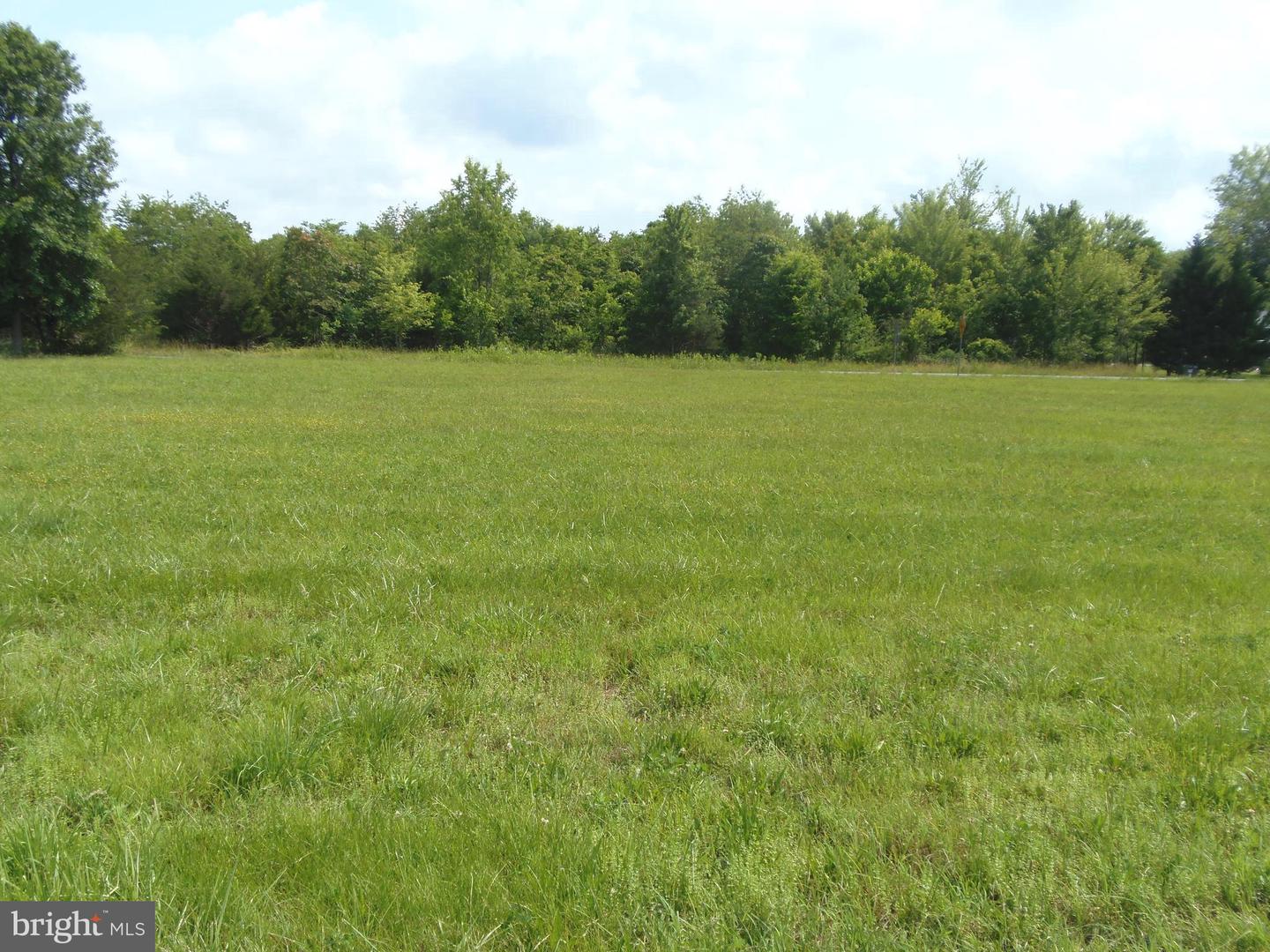 12058 MITCHELL RD, MITCHELLS, Virginia 22729, 3 Bedrooms Bedrooms, ,1 BathroomBathrooms,Residential,For sale,12058 MITCHELL RD,VACU2010738 MLS # VACU2010738