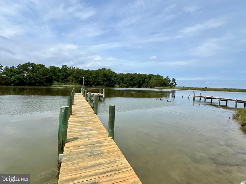 343 POTOMAC SHORE DR, HEATHSVILLE, Virginia 22473, 3 Bedrooms Bedrooms, 6 Rooms Rooms,2 BathroomsBathrooms,Residential,For sale,343 POTOMAC SHORE DR,VANV2001644 MLS # VANV2001644