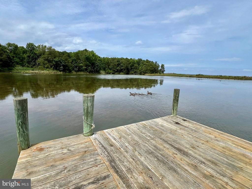 343 POTOMAC SHORE DR, HEATHSVILLE, Virginia 22473, 3 Bedrooms Bedrooms, 6 Rooms Rooms,2 BathroomsBathrooms,Residential,For sale,343 POTOMAC SHORE DR,VANV2001644 MLS # VANV2001644