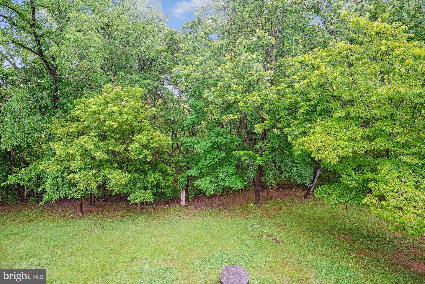14732 ROSE HOLLOW LN, WATERFORD, Virginia 20197, 3 Bedrooms Bedrooms, 6 Rooms Rooms,2 BathroomsBathrooms,Residential,For sale,14732 ROSE HOLLOW LN,VALO2097876 MLS # VALO2097876