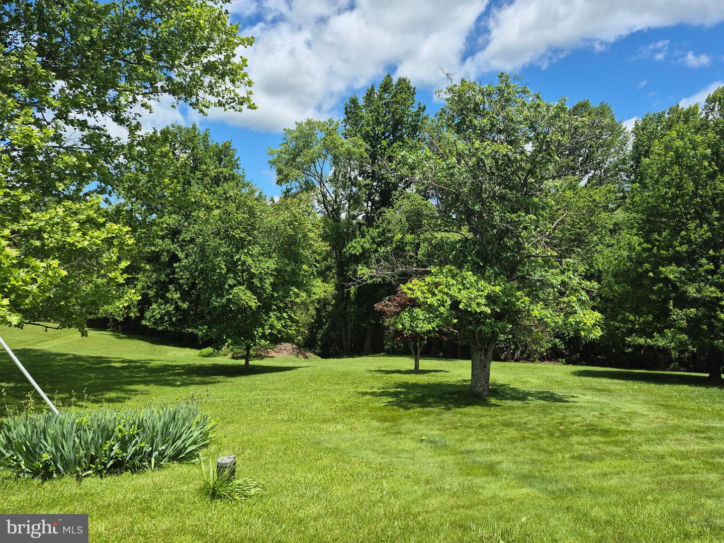 14732 ROSE HOLLOW LN, WATERFORD, Virginia 20197, 3 Bedrooms Bedrooms, 6 Rooms Rooms,2 BathroomsBathrooms,Residential,For sale,14732 ROSE HOLLOW LN,VALO2097876 MLS # VALO2097876