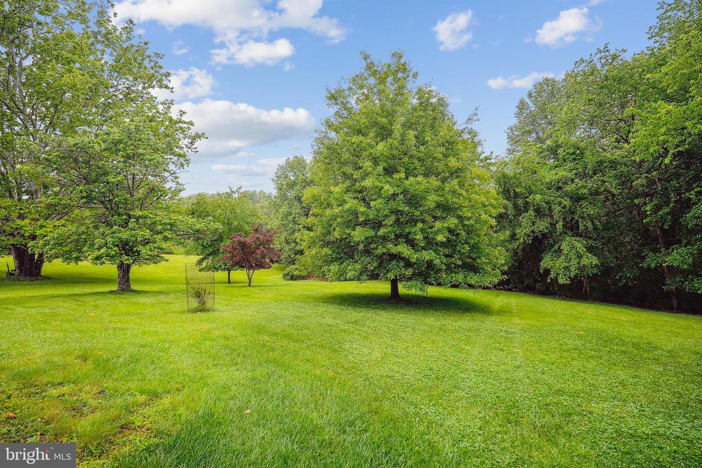14732 ROSE HOLLOW LN, WATERFORD, Virginia 20197, 3 Bedrooms Bedrooms, 6 Rooms Rooms,2 BathroomsBathrooms,Residential,For sale,14732 ROSE HOLLOW LN,VALO2097876 MLS # VALO2097876