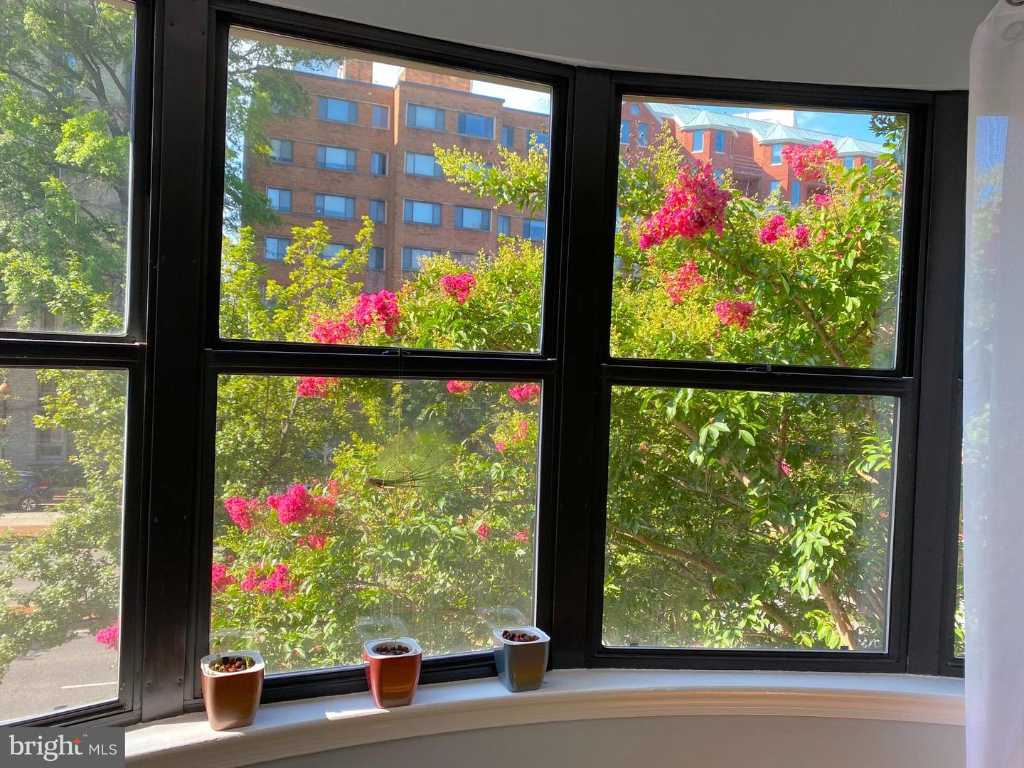 2515 K ST NW #205, WASHINGTON, District Of Columbia 20037, 1 Bedroom Bedrooms, ,1 BathroomBathrooms,Residential,For sale,2515 K ST NW #205,DCDC2203292 MLS # DCDC2203292