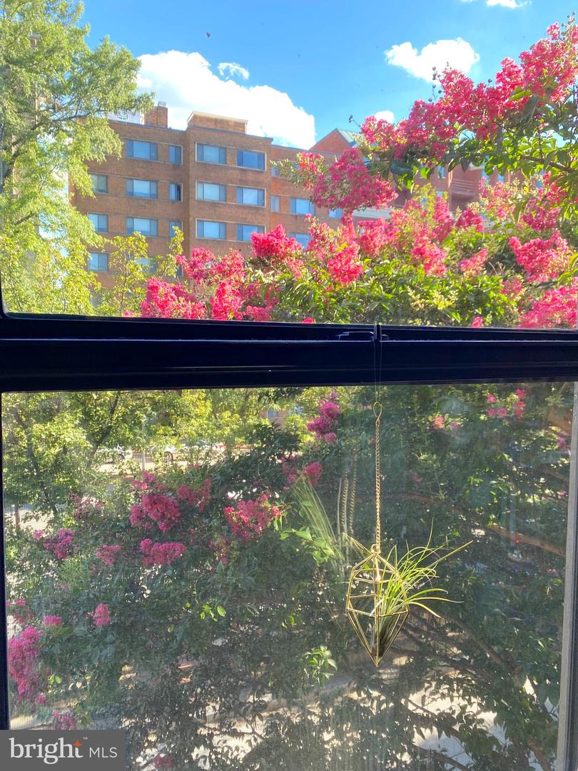 2515 K ST NW #205, WASHINGTON, District Of Columbia 20037, 1 Bedroom Bedrooms, ,1 BathroomBathrooms,Residential,For sale,2515 K ST NW #205,DCDC2203292 MLS # DCDC2203292