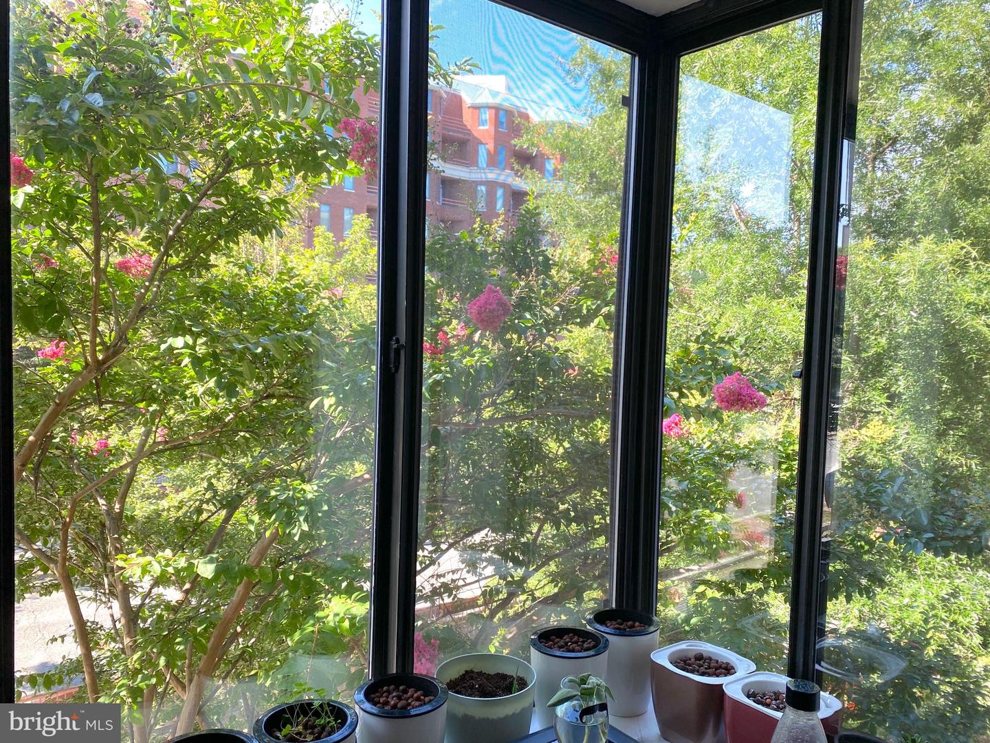 2515 K ST NW #205, WASHINGTON, District Of Columbia 20037, 1 Bedroom Bedrooms, ,1 BathroomBathrooms,Residential,For sale,2515 K ST NW #205,DCDC2203292 MLS # DCDC2203292