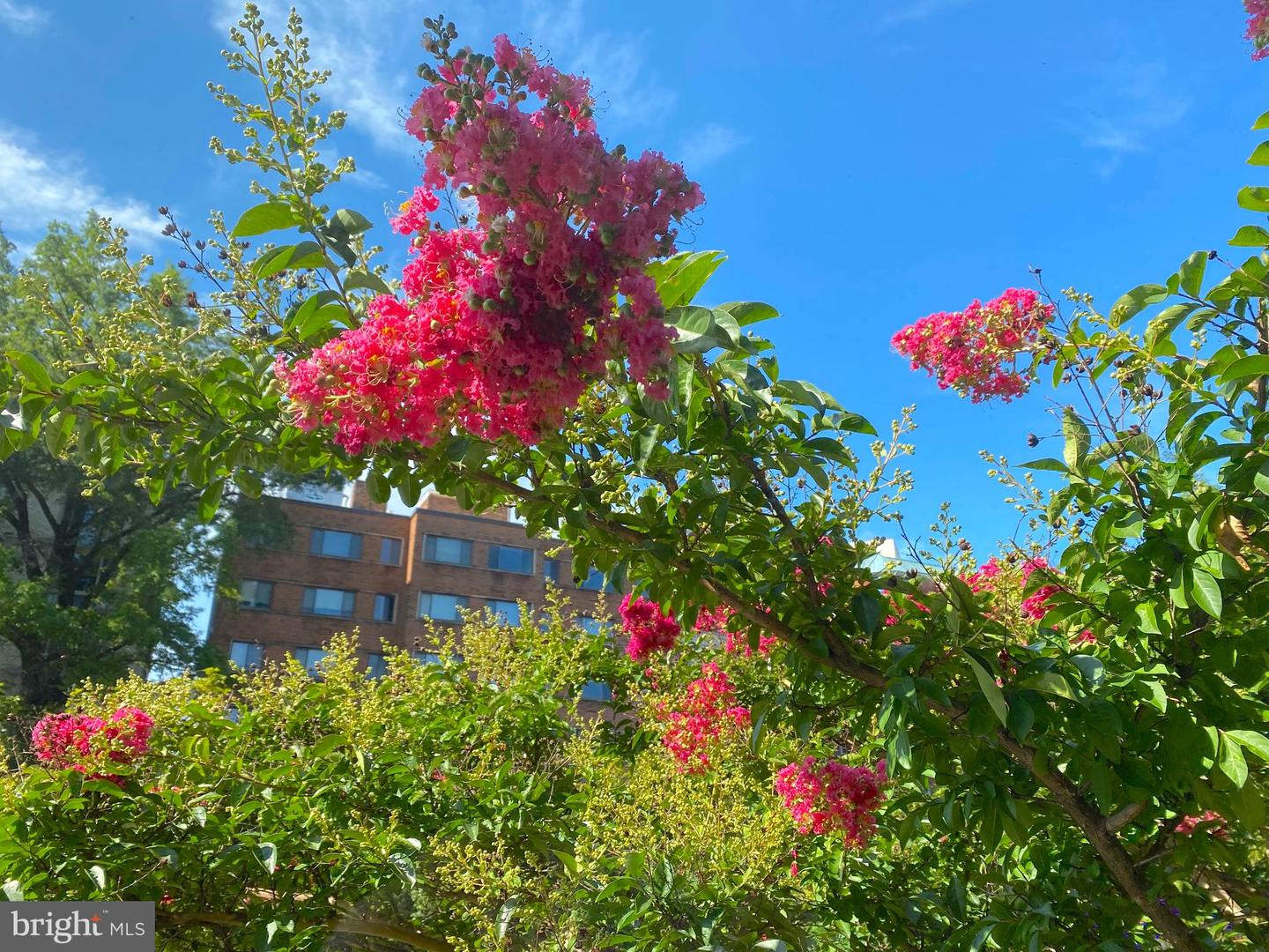 2515 K ST NW #205, WASHINGTON, District Of Columbia 20037, 1 Bedroom Bedrooms, ,1 BathroomBathrooms,Residential,For sale,2515 K ST NW #205,DCDC2203292 MLS # DCDC2203292