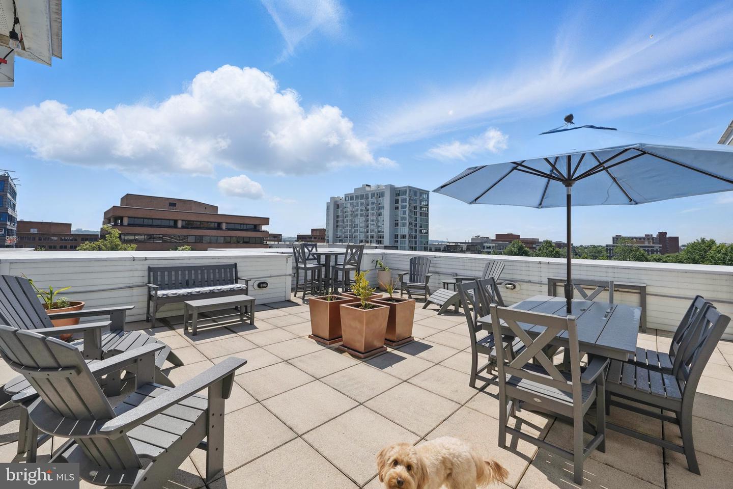 1023 N ROYAL ST #207, ALEXANDRIA, Virginia 22314, 2 Bedrooms Bedrooms, ,2 BathroomsBathrooms,Residential,For sale,1023 N ROYAL ST #207,VAAX2046040 MLS # VAAX2046040