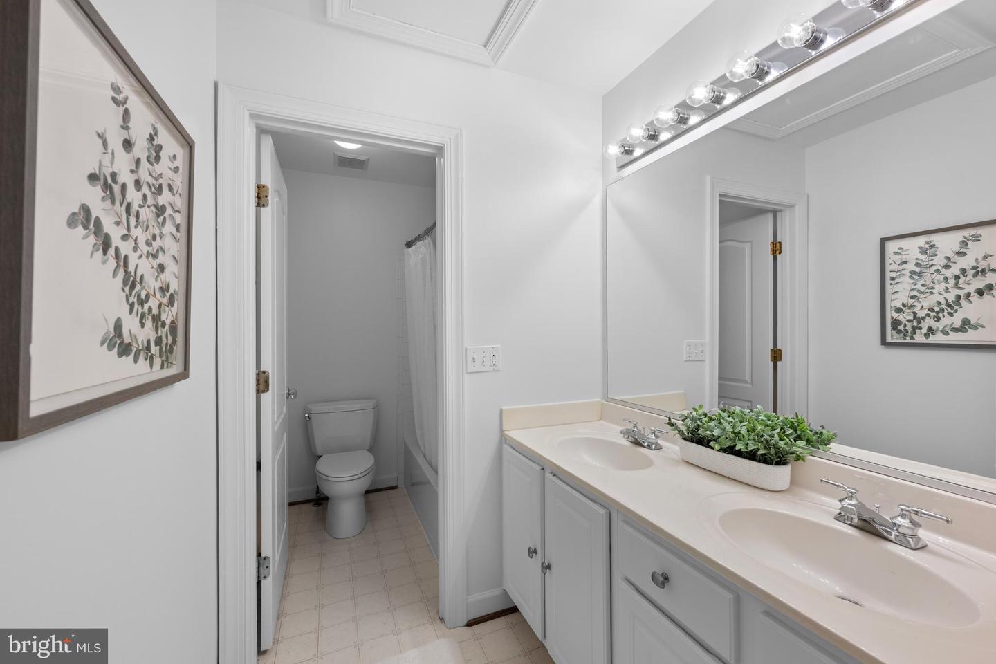 18722 TIMONEY CT, LEESBURG, Virginia 20176, 4 Bedrooms Bedrooms, ,3 BathroomsBathrooms,Residential,For sale,18722 TIMONEY CT,VALO2098914 MLS # VALO2098914