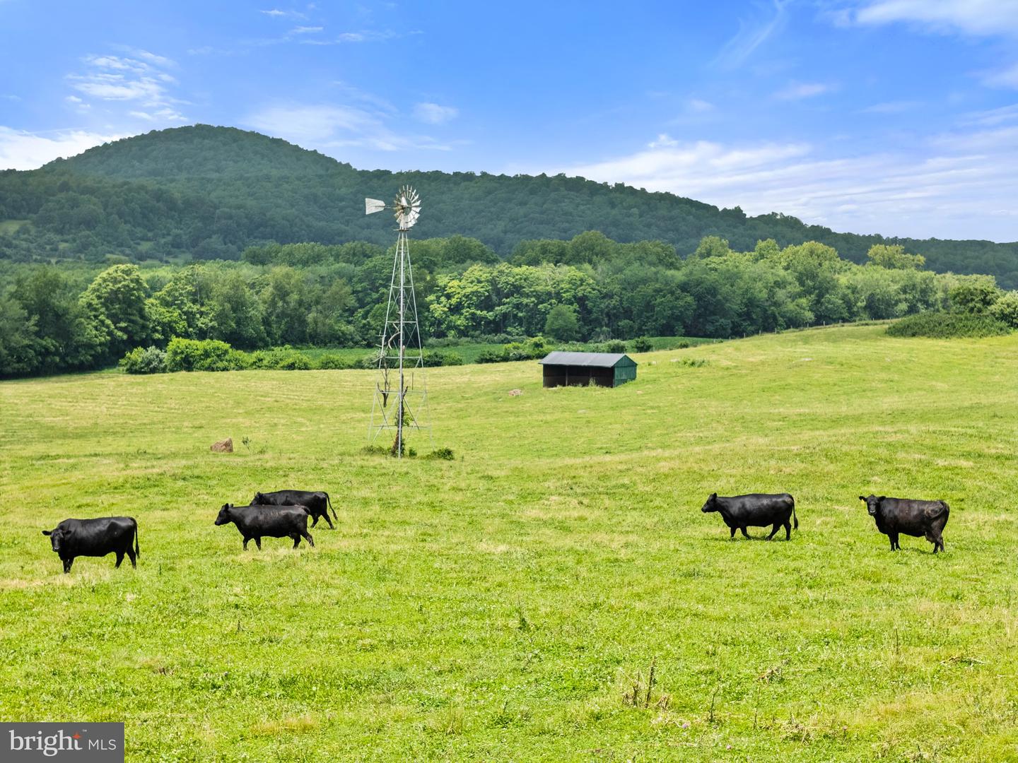 10674 ADA RD, MARSHALL, Virginia 20115, 1 Bedroom Bedrooms, ,1 BathroomBathrooms,Farm,For sale,10674 ADA RD,VAFQ2016990 MLS # VAFQ2016990