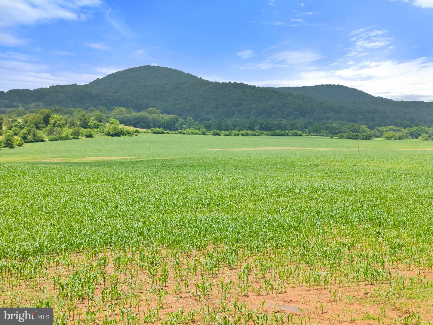 10674 ADA RD, MARSHALL, Virginia 20115, 1 Bedroom Bedrooms, ,1 BathroomBathrooms,Farm,For sale,10674 ADA RD,VAFQ2016990 MLS # VAFQ2016990