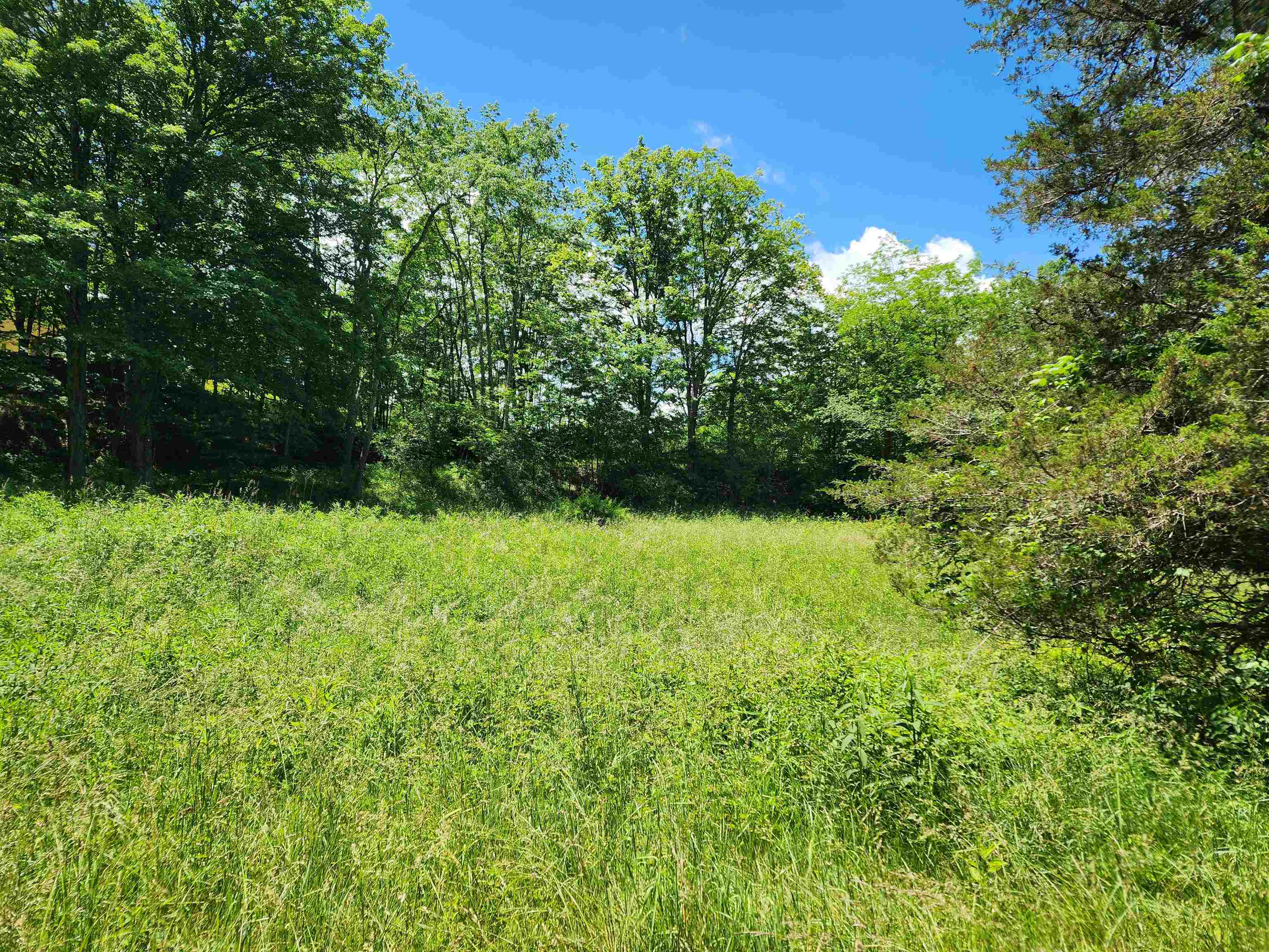 TBD COWPASTURE RIVER RD N, HEAD WATERS, Virginia 24442, ,Land,TBD COWPASTURE RIVER RD N,665563 MLS # 665563