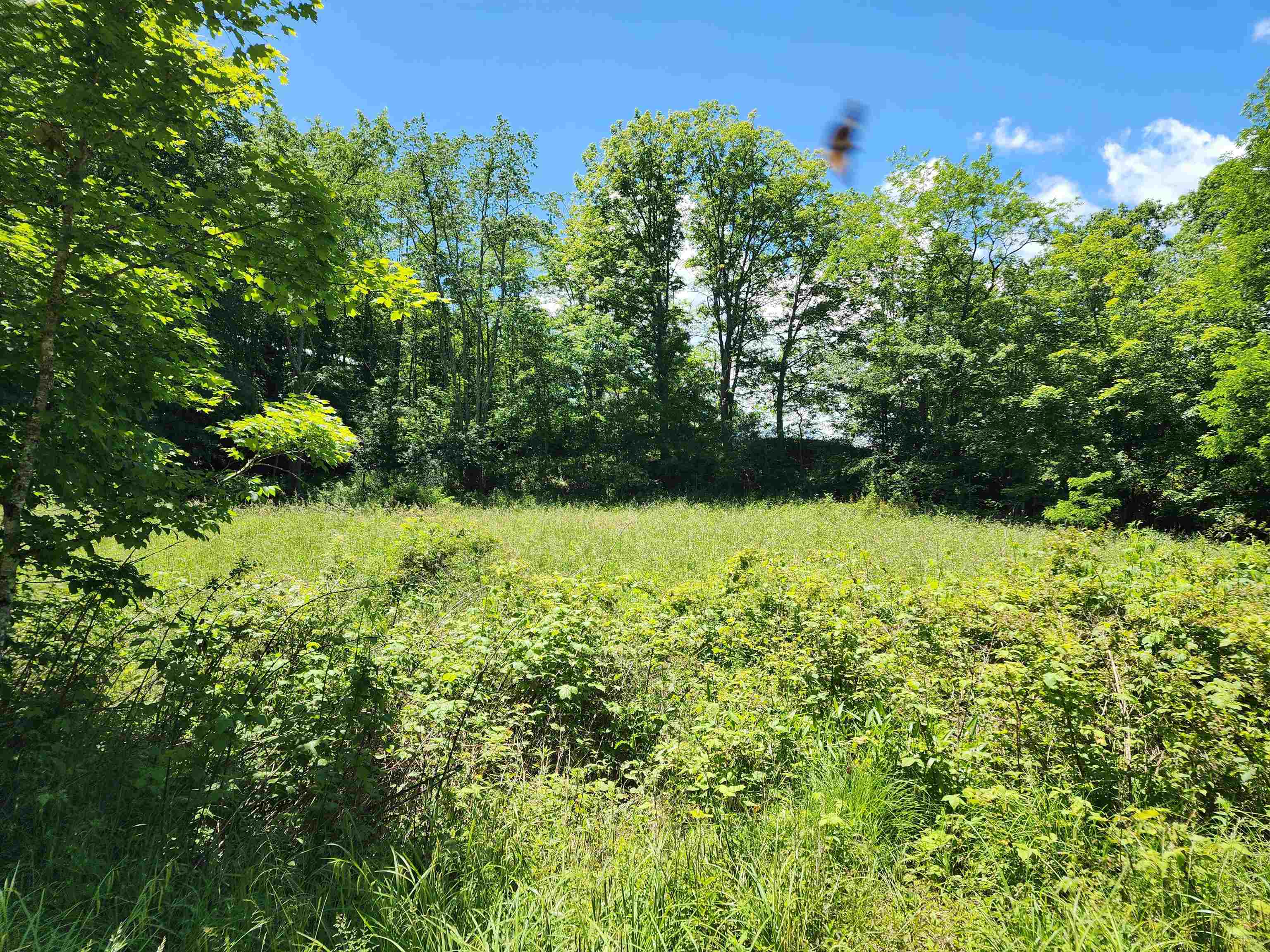 TBD COWPASTURE RIVER RD N, HEAD WATERS, Virginia 24442, ,Land,TBD COWPASTURE RIVER RD N,665563 MLS # 665563