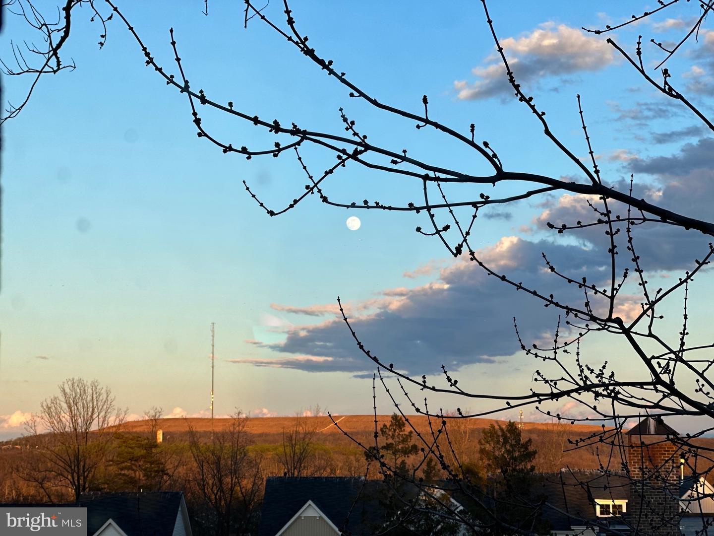 1600 RENATE DR #302, WOODBRIDGE, Virginia 22192, 2 Bedrooms Bedrooms, ,1 BathroomBathrooms,Residential,For sale,1600 RENATE DR #302,VAPW2095928 MLS # VAPW2095928 1600 RENATE DR #302, WOODBRIDGE, Virginia 22192, 2 Bedrooms Bedrooms, ,1 BathroomBathrooms,Residential,For sale,1600 RENATE DR #302,VAPW2095928 MLS # VAPW2095928