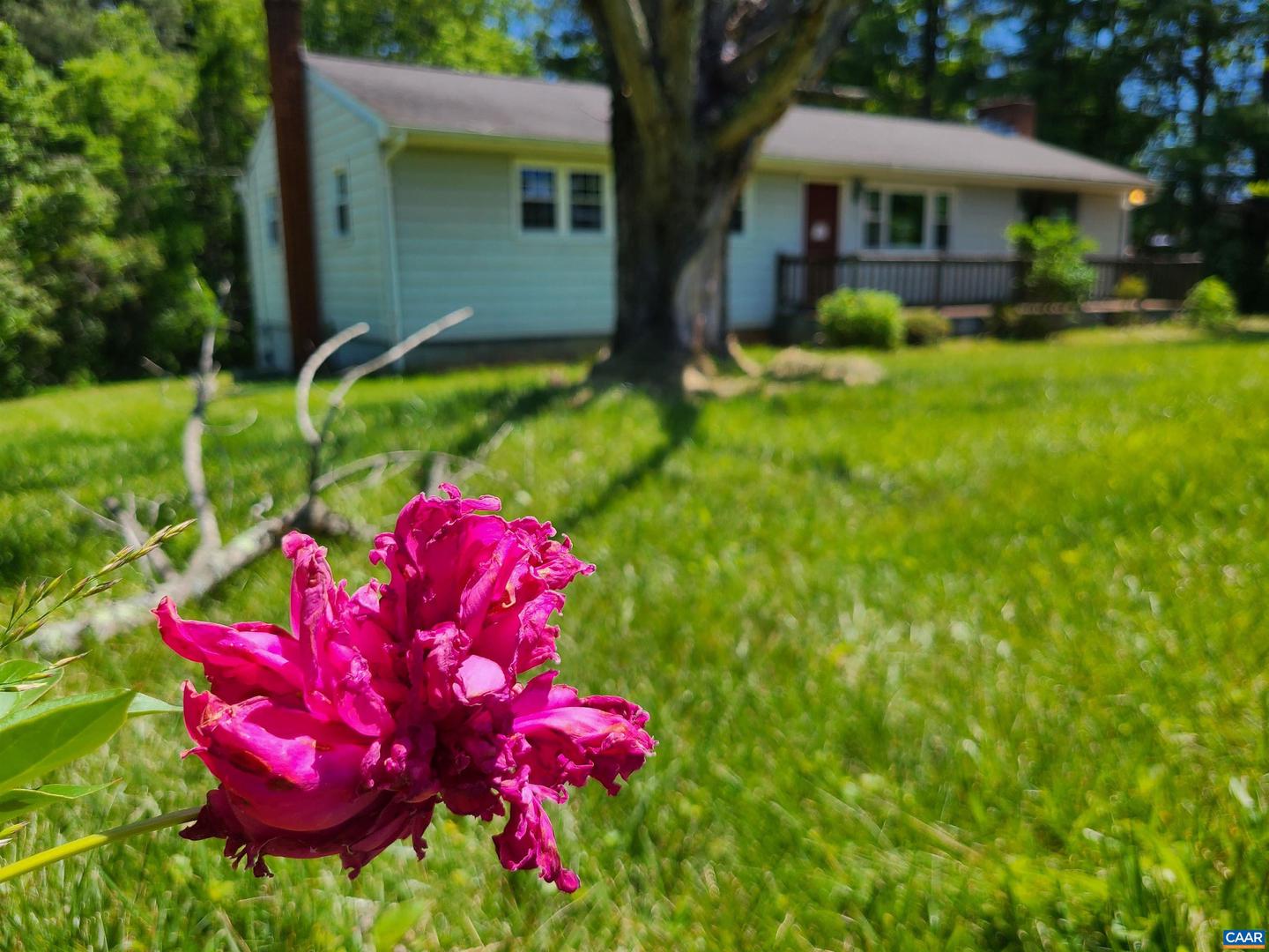 10307 SPOTSWOOD TRL, STANARDSVILLE, Virginia 22973, 3 Bedrooms Bedrooms, ,2 BathroomsBathrooms,Residential,For sale,10307 SPOTSWOOD TRL,665565 MLS # 665565