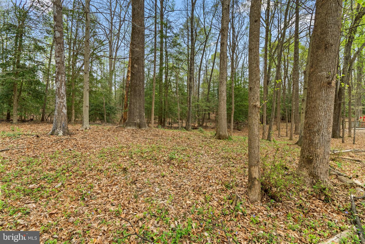 2200 HARPOON DR, STAFFORD, Virginia 22554, 3 Bedrooms Bedrooms, ,2 BathroomsBathrooms,Residential,For sale,2200 HARPOON DR,VAST2037704 MLS # VAST2037704