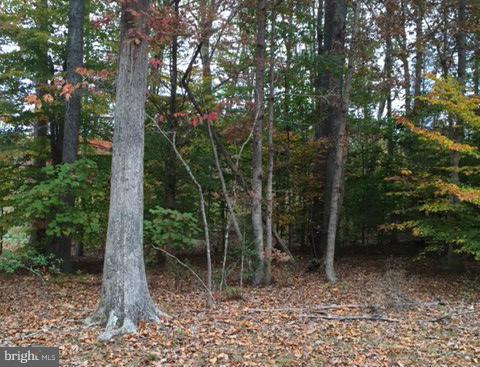 224 WOODSIDE LN, RUTHER GLEN, Virginia 22546, ,Land,For sale,224 WOODSIDE LN,VACV2007680 MLS # VACV2007680