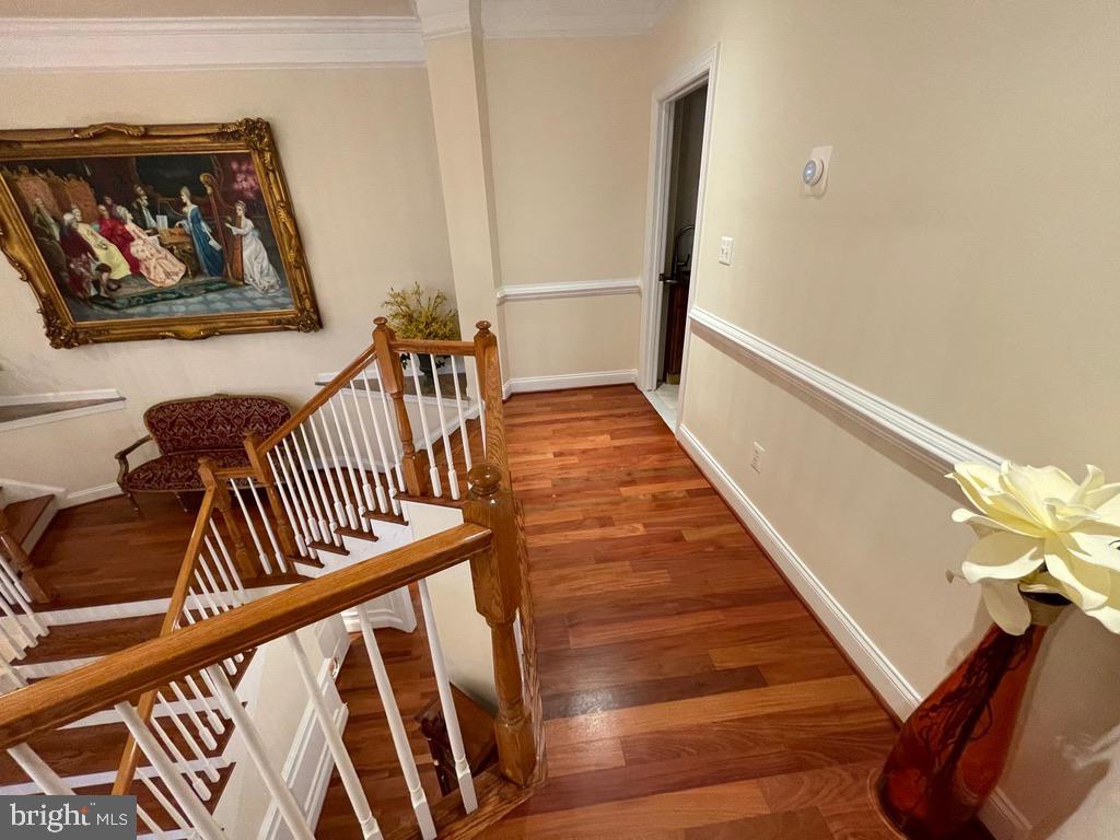 4113 WOODLAND RD, ANNANDALE, Virginia 22003, 6 Bedrooms Bedrooms, ,6 BathroomsBathrooms,Residential,For sale,4113 WOODLAND RD,VAFX2241884 MLS # VAFX2241884