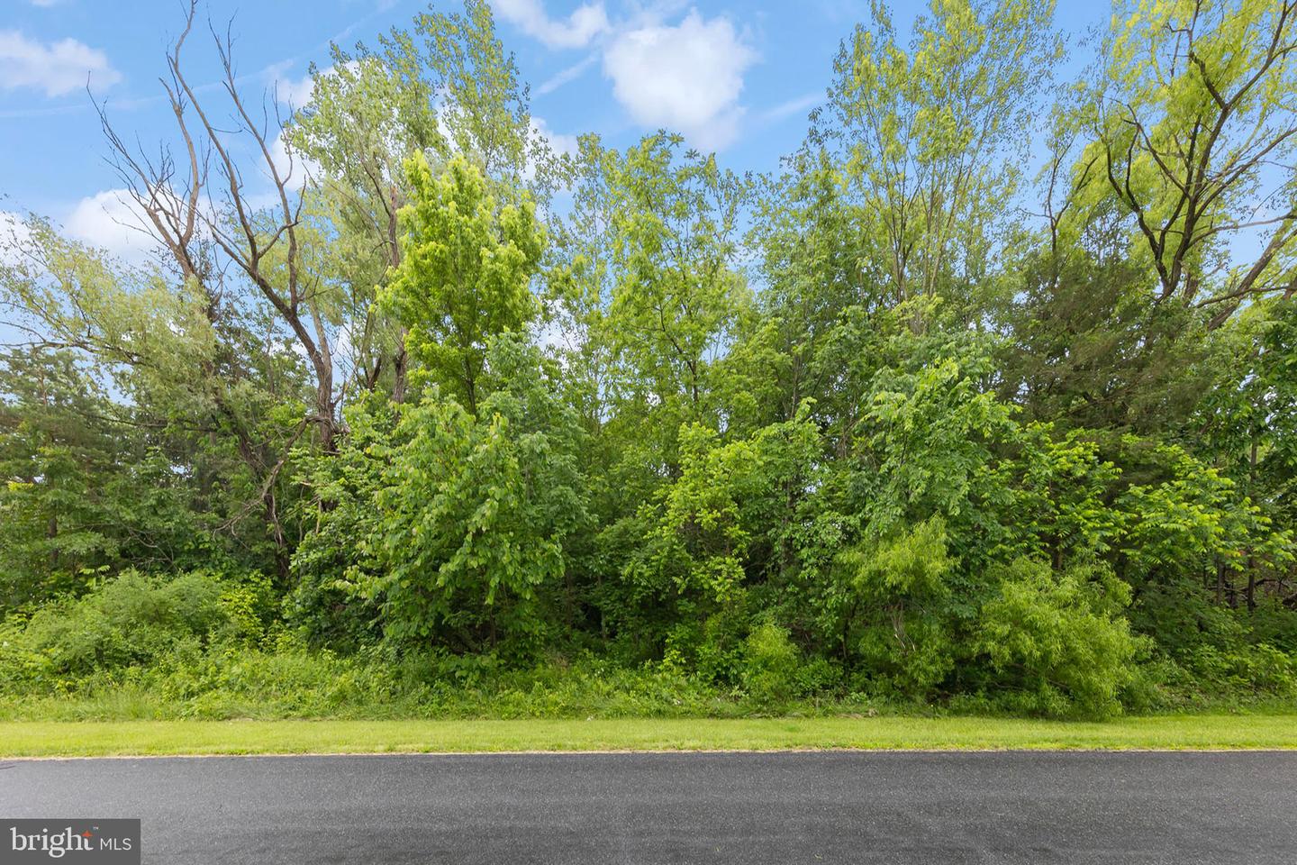 113 MIMOSA DR, STEPHENS CITY, Virginia 22655, 3 Bedrooms Bedrooms, ,2 BathroomsBathrooms,Residential,For sale,113 MIMOSA DR,VAFV2034356 MLS # VAFV2034356