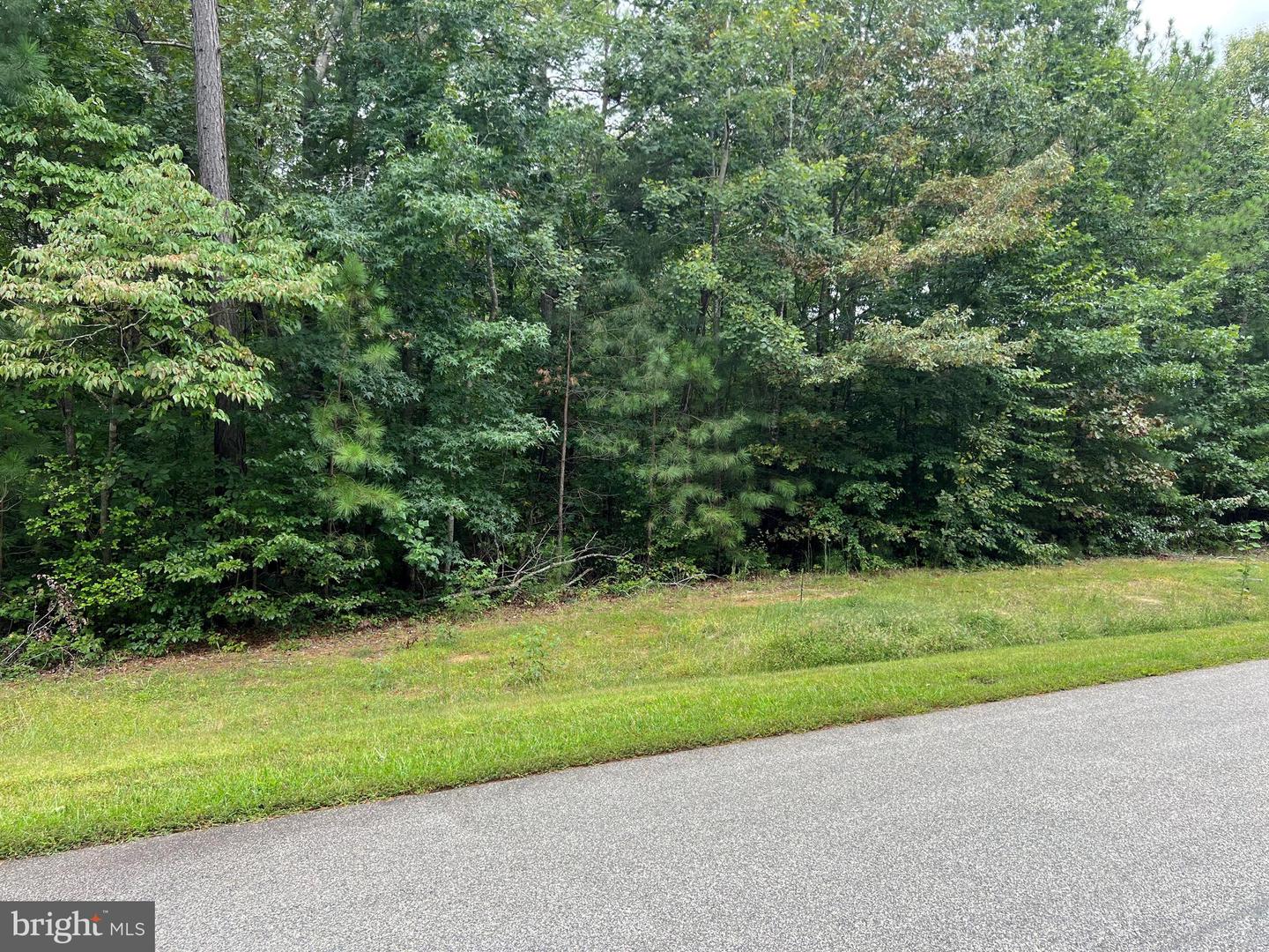 LOT 96 NOAH'S LANDING DRIVE, BUMPASS, Virginia 23024, ,Land,For sale,LOT 96 NOAH'S LANDING DRIVE,VALA2008010 MLS # VALA2008010
