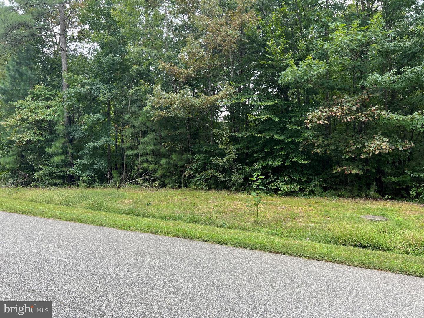 LOT 96 NOAH'S LANDING DRIVE, BUMPASS, Virginia 23024, ,Land,For sale,LOT 96 NOAH'S LANDING DRIVE,VALA2008010 MLS # VALA2008010