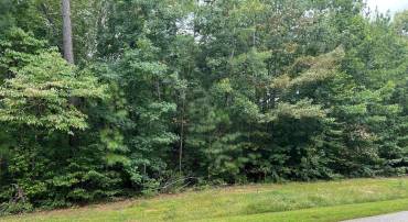 LOT 96 NOAH'S LANDING DRIVE, BUMPASS, Virginia 23024, ,Land,For sale,LOT 96 NOAH'S LANDING DRIVE,VALA2008010 MLS # VALA2008010