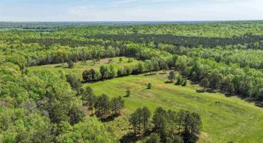 4048 OLD GRAIN RD, CORBIN, Virginia 22446, ,Farm,For sale,4048 OLD GRAIN RD,665570 MLS # 665570