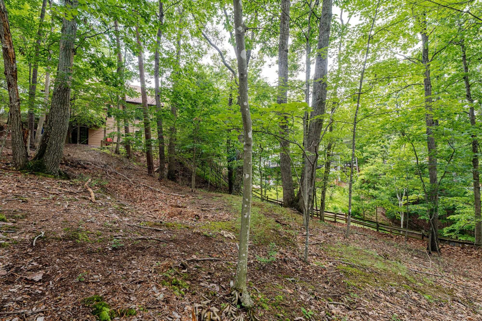 2973 LANIER LN, MCGAHEYSVILLE, Virginia 22840, 3 Bedrooms Bedrooms, ,3 BathroomsBathrooms,Residential,2973 LANIER LN,665574 MLS # 665574
