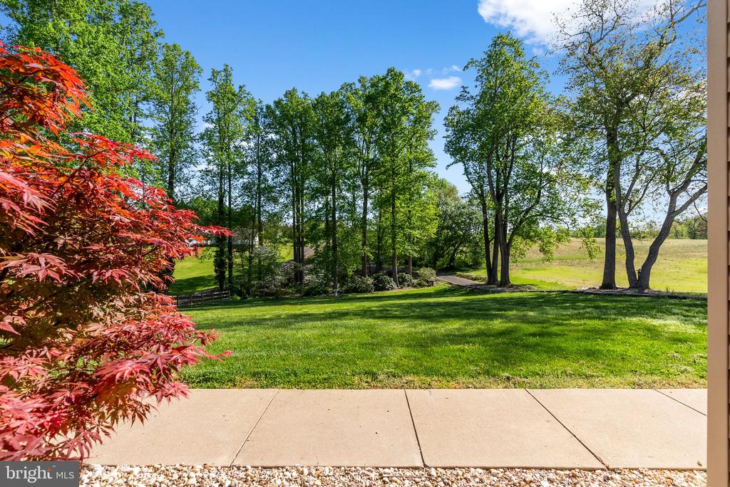 15103 JENKINS HILL LN, CULPEPER, Virginia 22701, 4 Bedrooms Bedrooms, ,3 BathroomsBathrooms,Residential,15103 JENKINS HILL LN,VACU2010358 MLS # VACU2010358