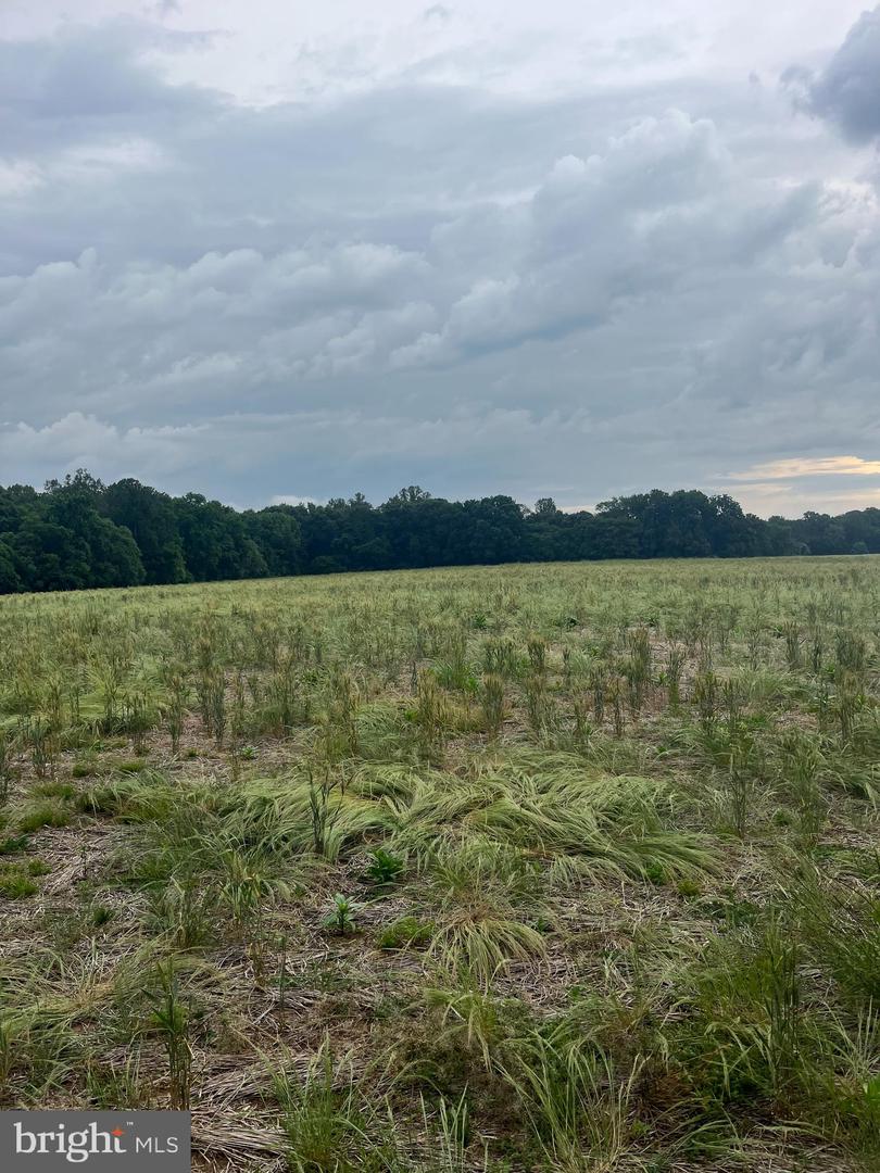 LOT 10 SALEM CHURCH RD, KING GEORGE, Virginia 22485, ,Land,For sale,LOT 10 SALEM CHURCH RD,VAKG2006566 MLS # VAKG2006566