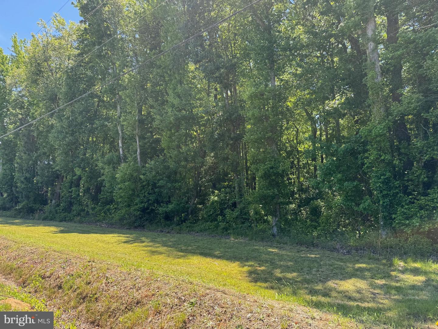 LOT 1 BLACKBERRY RD, REEDVILLE, Virginia 22539, ,Land,For sale,LOT 1 BLACKBERRY RD,VANV2001646 MLS # VANV2001646