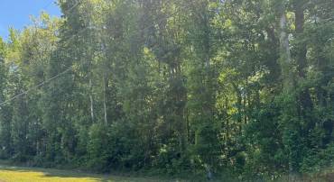 LOT 1 BLACKBERRY RD, REEDVILLE, Virginia 22539, ,Land,For sale,LOT 1 BLACKBERRY RD,VANV2001646 MLS # VANV2001646