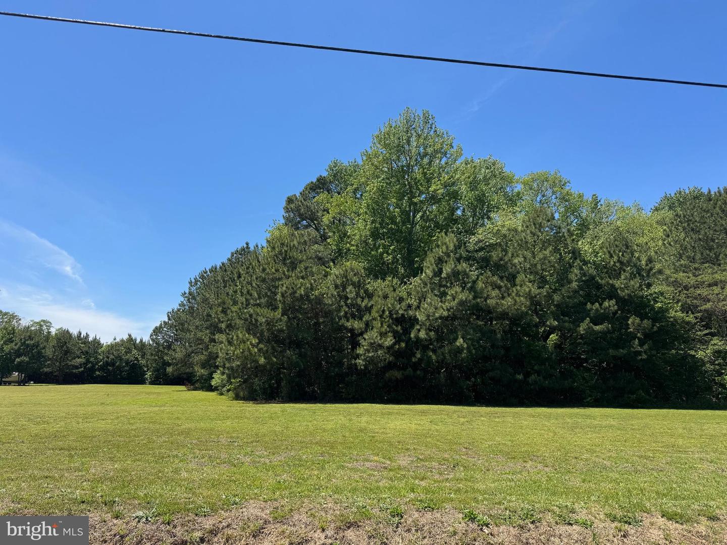 LOT 3 BLACKBERRY RD, REEDVILLE, Virginia 22539, ,Land,For sale,LOT 3 BLACKBERRY RD,VANV2001650 MLS # VANV2001650