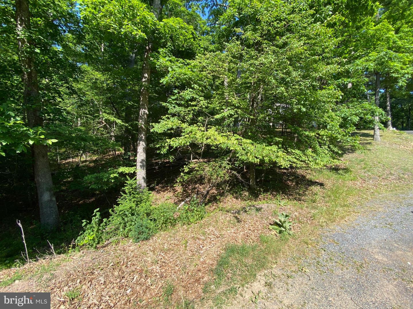 1114 LAKEVIEW DR, CROSS JUNCTION, Virginia 22625, ,Land,For sale,1114 LAKEVIEW DR,VAFV2034784 MLS # VAFV2034784