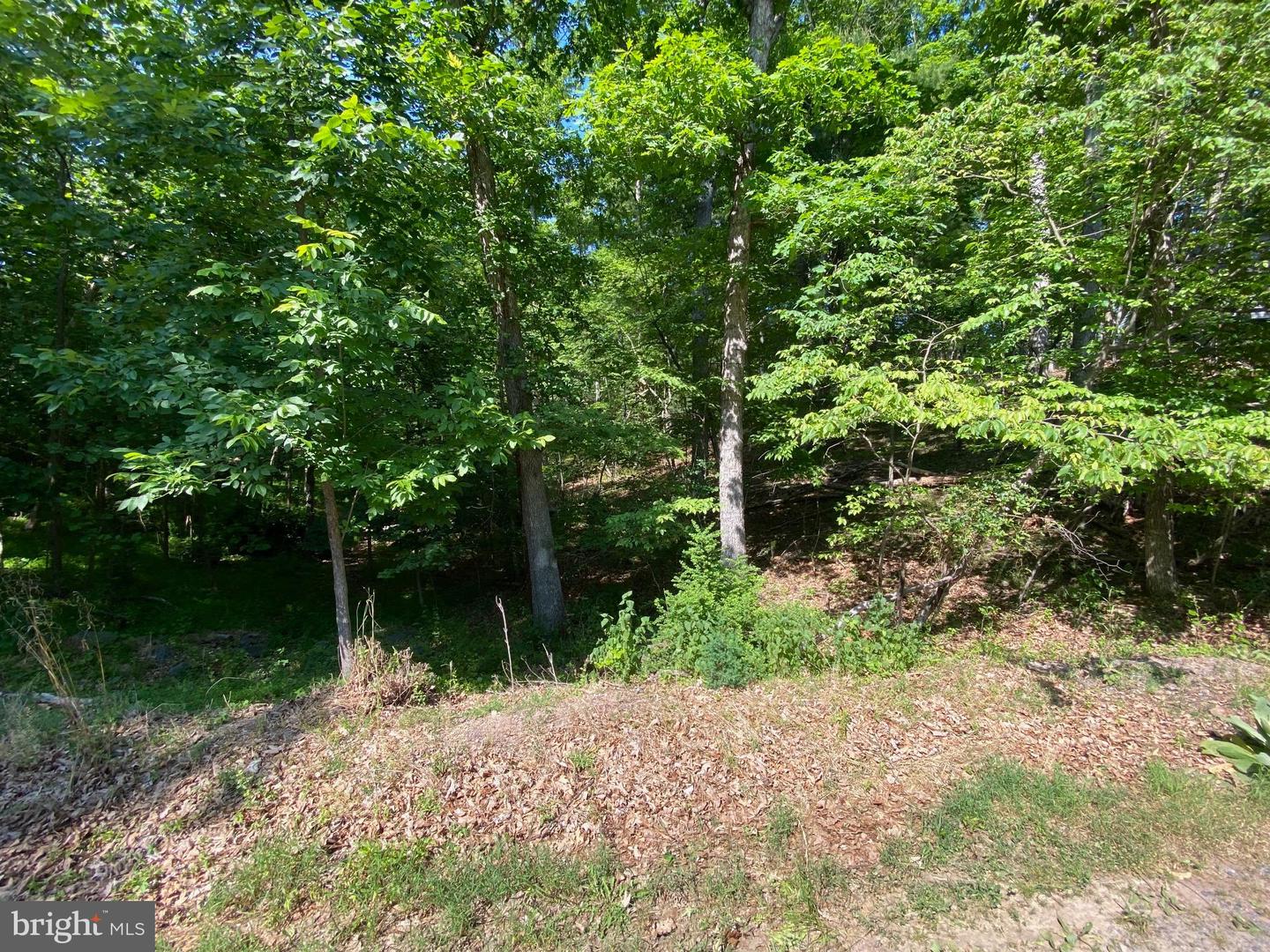 1114 LAKEVIEW DR, CROSS JUNCTION, Virginia 22625, ,Land,For sale,1114 LAKEVIEW DR,VAFV2034784 MLS # VAFV2034784