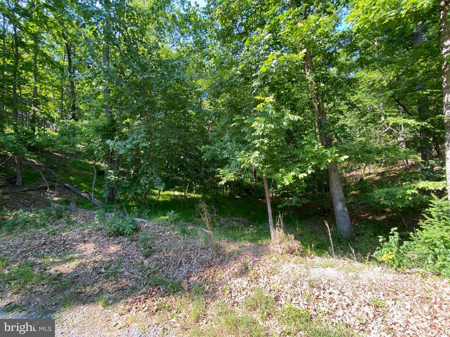 1114 LAKEVIEW DR, CROSS JUNCTION, Virginia 22625, ,Land,For sale,1114 LAKEVIEW DR,VAFV2034784 MLS # VAFV2034784