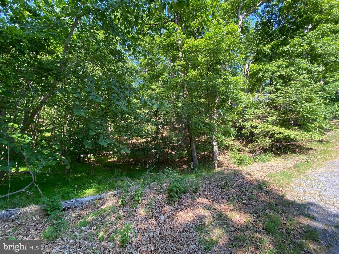 1114 LAKEVIEW DR, CROSS JUNCTION, Virginia 22625, ,Land,For sale,1114 LAKEVIEW DR,VAFV2034784 MLS # VAFV2034784