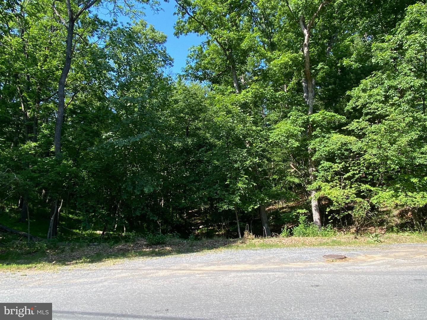 1114 LAKEVIEW DR, CROSS JUNCTION, Virginia 22625, ,Land,For sale,1114 LAKEVIEW DR,VAFV2034784 MLS # VAFV2034784