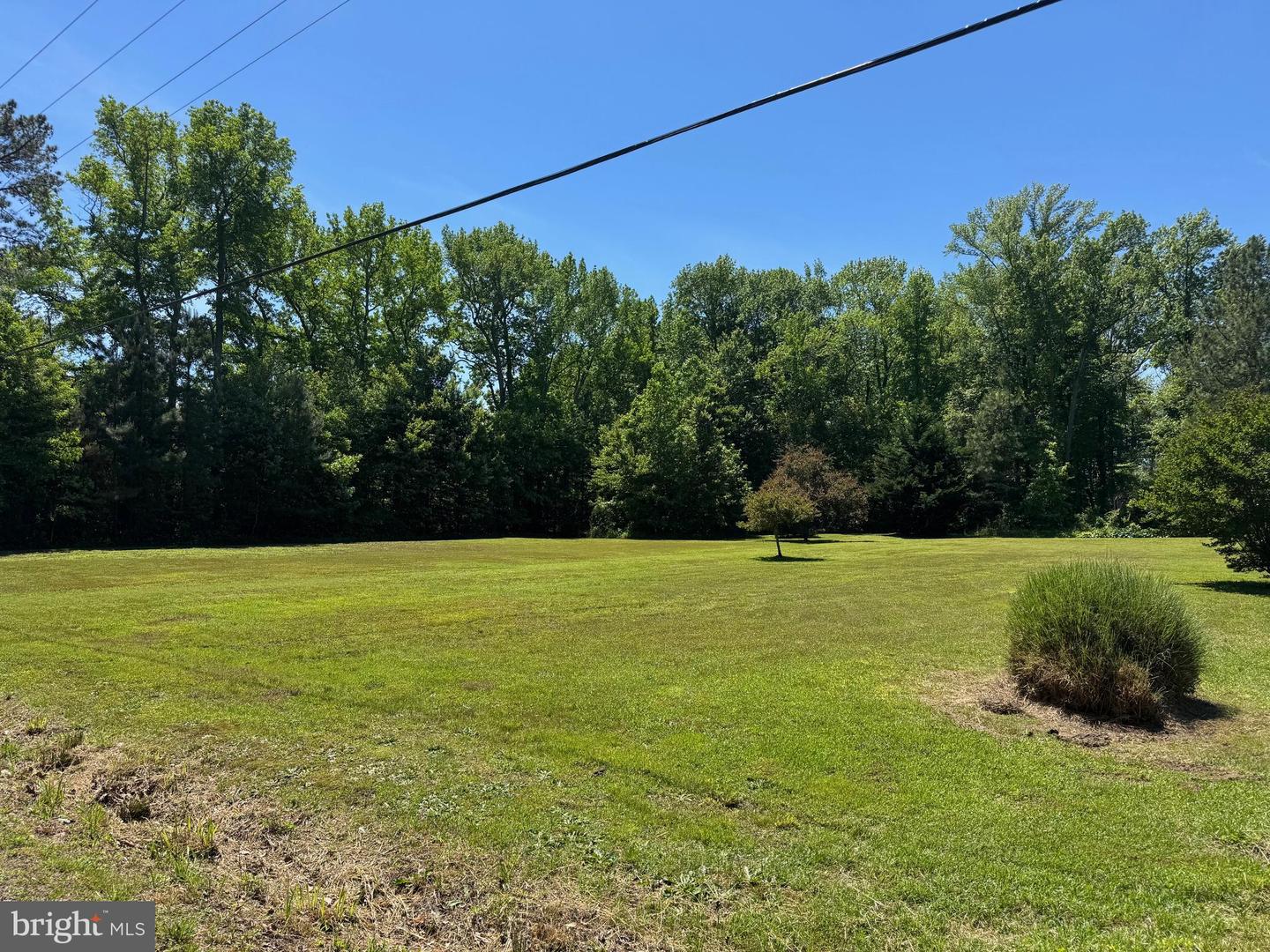 LOT 7 BLACKBERRY RD, REEDVILLE, Virginia 22539, ,Land,For sale,LOT 7 BLACKBERRY RD,VANV2001654 MLS # VANV2001654