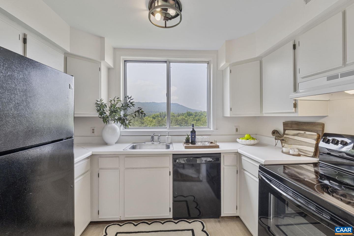 1612 F MONTICELLO AVE, CHARLOTTESVILLE, Virginia 22902, 2 Bedrooms Bedrooms, ,2 BathroomsBathrooms,Residential,For sale,1612 F MONTICELLO AVE,665581 MLS # 665581