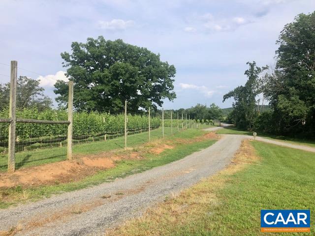 3613 WALNUT BRANCH LN, NORTH GARDEN, Virginia 22959, 2 Bedrooms Bedrooms, ,2 BathroomsBathrooms,Farm,For sale,3613 WALNUT BRANCH LN,665612 MLS # 665612