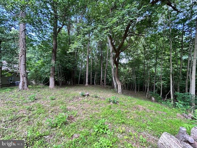 LOT 99 AMERICAN DRIVE, MONTROSS, Virginia 22520, ,Land,For sale,-LOT 99 AMERICAN DRIVE,VAWE2009074 MLS # VAWE2009074
