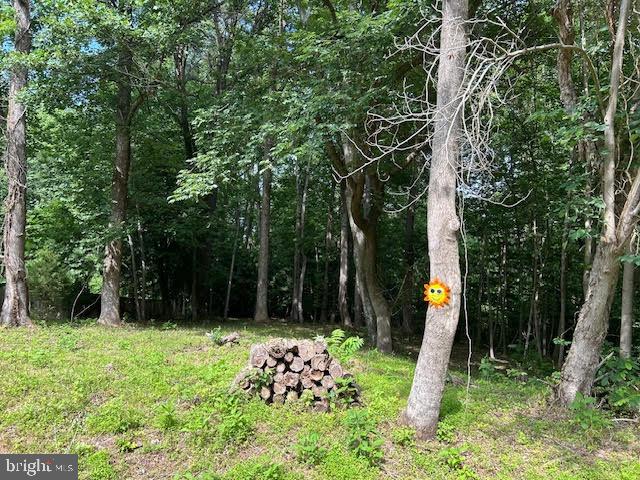 LOT 99 AMERICAN DRIVE, MONTROSS, Virginia 22520, ,Land,For sale,-LOT 99 AMERICAN DRIVE,VAWE2009074 MLS # VAWE2009074