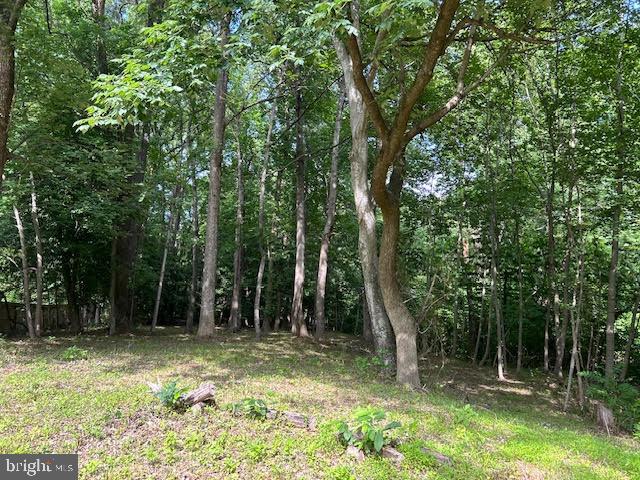 LOT 99 AMERICAN DRIVE, MONTROSS, Virginia 22520, ,Land,For sale,-LOT 99 AMERICAN DRIVE,VAWE2009074 MLS # VAWE2009074
