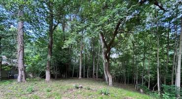 LOT 99 AMERICAN DRIVE, MONTROSS, Virginia 22520, ,Land,For sale,-LOT 99 AMERICAN DRIVE,VAWE2009074 MLS # VAWE2009074
