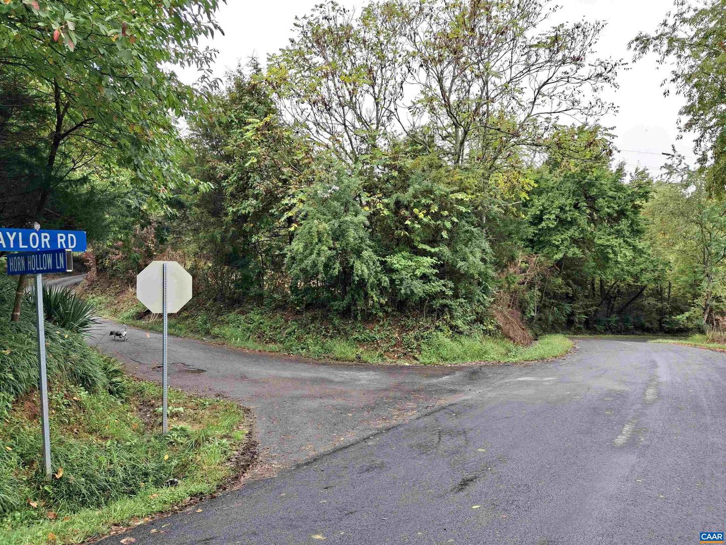 0 HORN HOLLOW LN, AYLOR, Virginia 22727, ,Land,For sale,0 HORN HOLLOW LN,665596 MLS # 665596