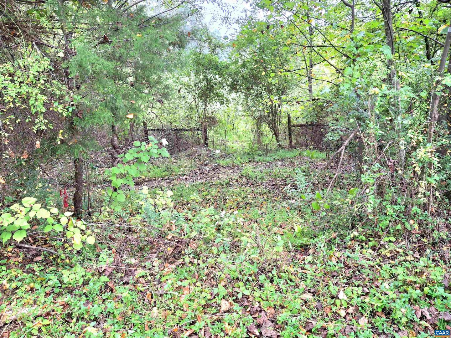0 HORN HOLLOW LN, AYLOR, Virginia 22727, ,Land,For sale,0 HORN HOLLOW LN,665596 MLS # 665596