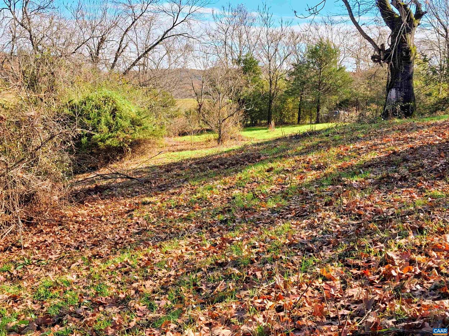 0 HORN HOLLOW LN, AYLOR, Virginia 22727, ,Land,For sale,0 HORN HOLLOW LN,665596 MLS # 665596
