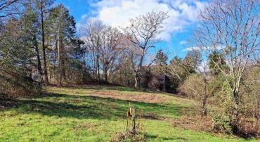 0 HORN HOLLOW LN, AYLOR, Virginia 22727, ,Land,For sale,0 HORN HOLLOW LN,665596 MLS # 665596