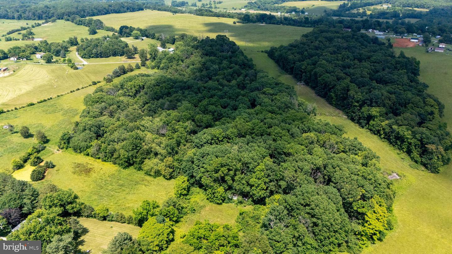 OFF SUNNYVIEW DR, RILEYVILLE, Virginia 22650, ,Land,For sale,OFF SUNNYVIEW DR,VAPA2005014 MLS # VAPA2005014
